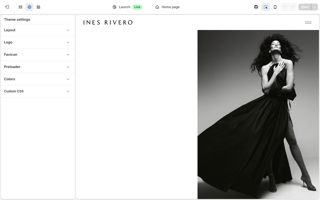 Theme Settings logo section